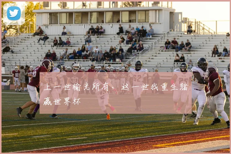 上一世输光所有，这一世我重生赌赢世界杯