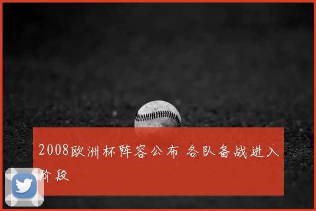 2008欧洲杯阵容公布 各队备战进入阶段