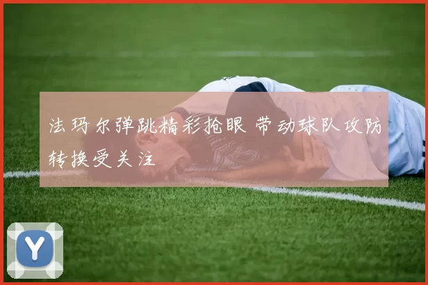 法玛尔弹跳精彩抢眼 带动球队攻防转换受关注