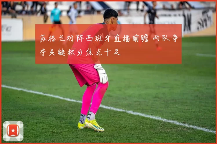 苏格兰对阵西班牙直播前瞻 两队争夺关键积分焦点十足