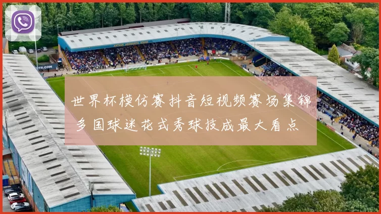 世界杯模仿赛抖音短视频赛场集锦 多国球迷花式秀球技成最大看点