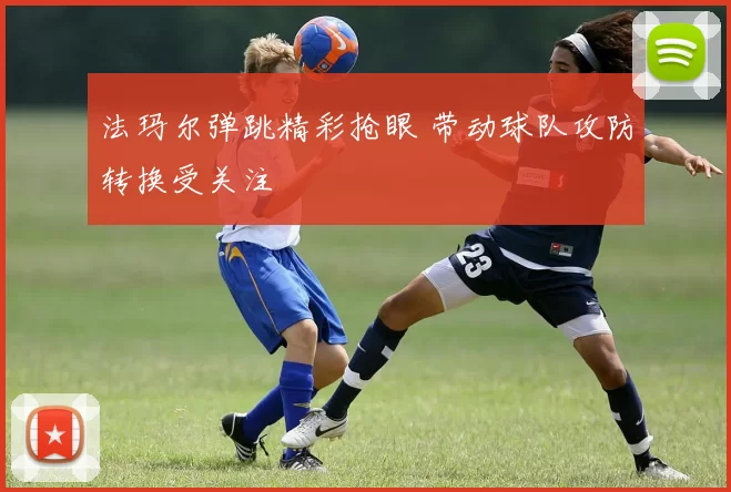 法玛尔弹跳精彩抢眼 带动球队攻防转换受关注