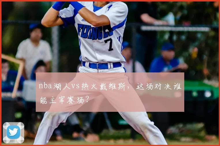 nba湖人vs热火戴维斯,这场对决谁能主宰赛场?