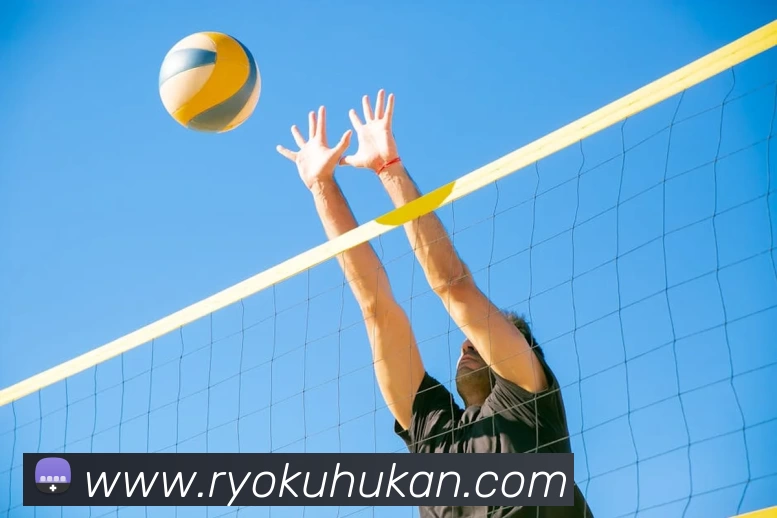 多媒体互动体验